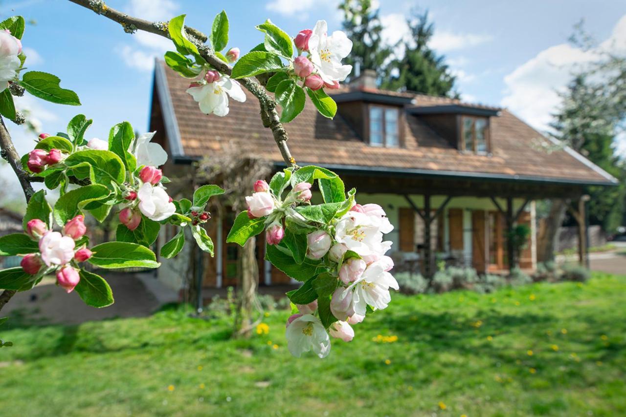 Villa Pod Koniem كاجيمير دولنه المظهر الخارجي الصورة